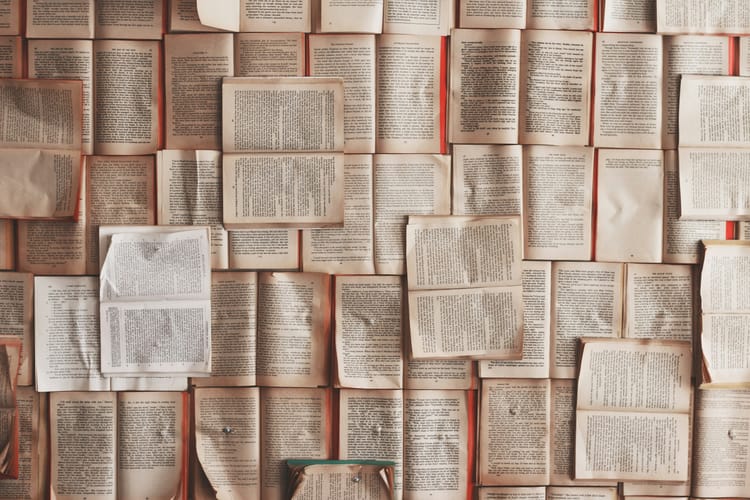 一种强烈的实用主义：读William James | A Strong Pragmatism: Reading William James